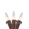 100ct. Clear Mini Christmas Light Set With Brown Wire